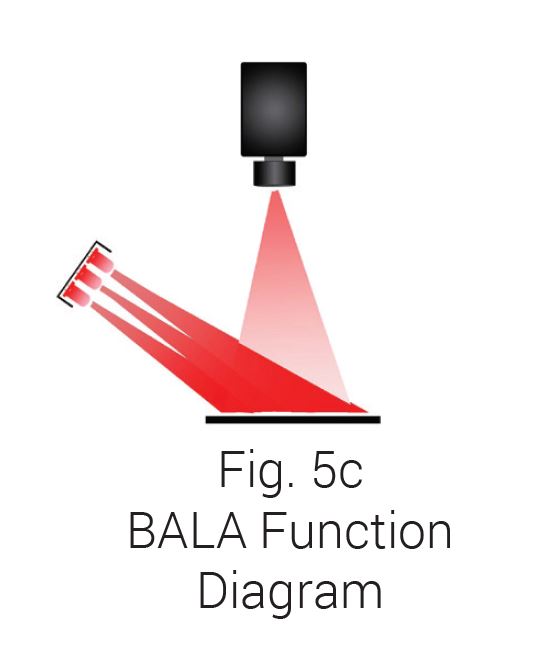 BALA function diagram