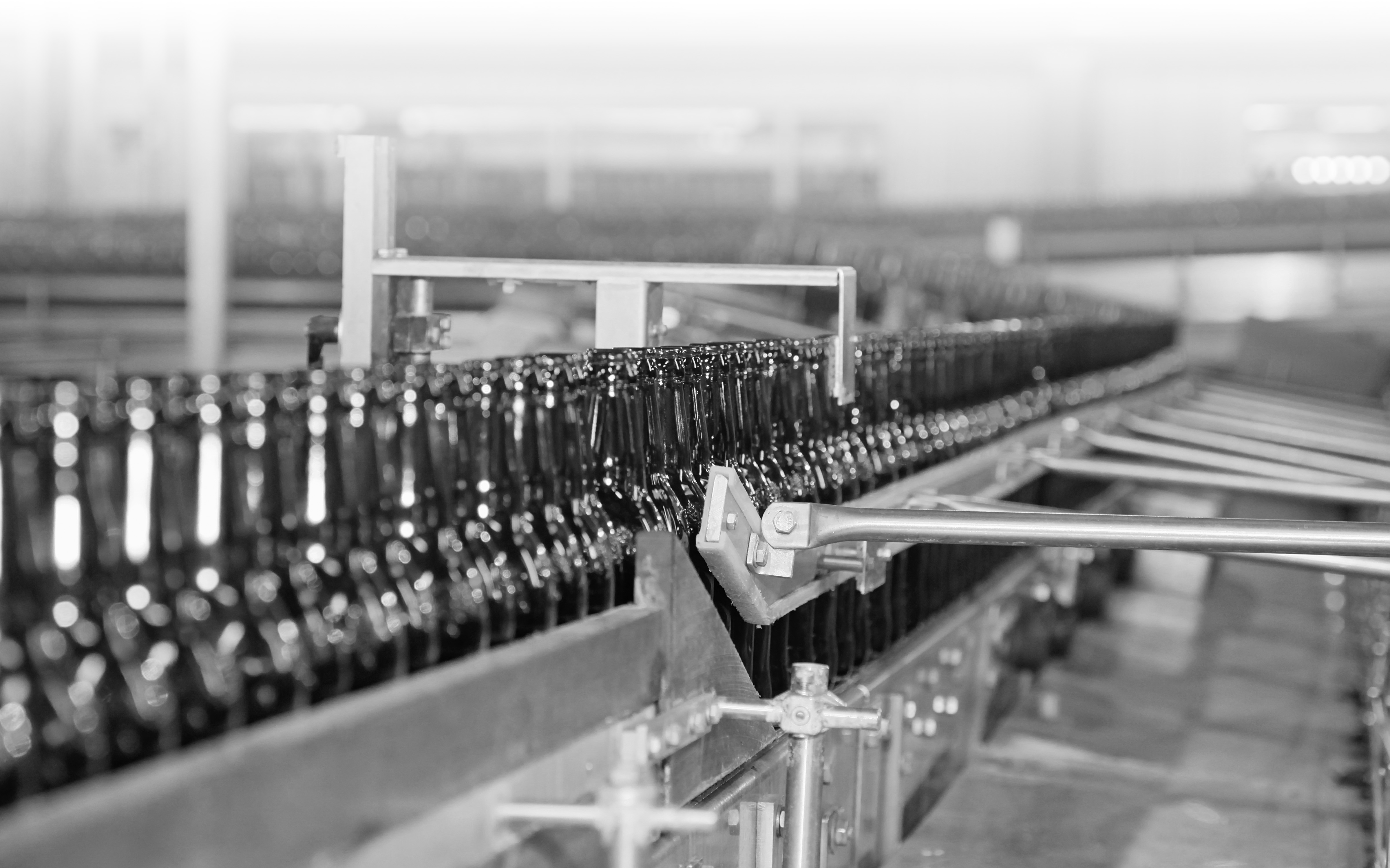 Bottling inspection process